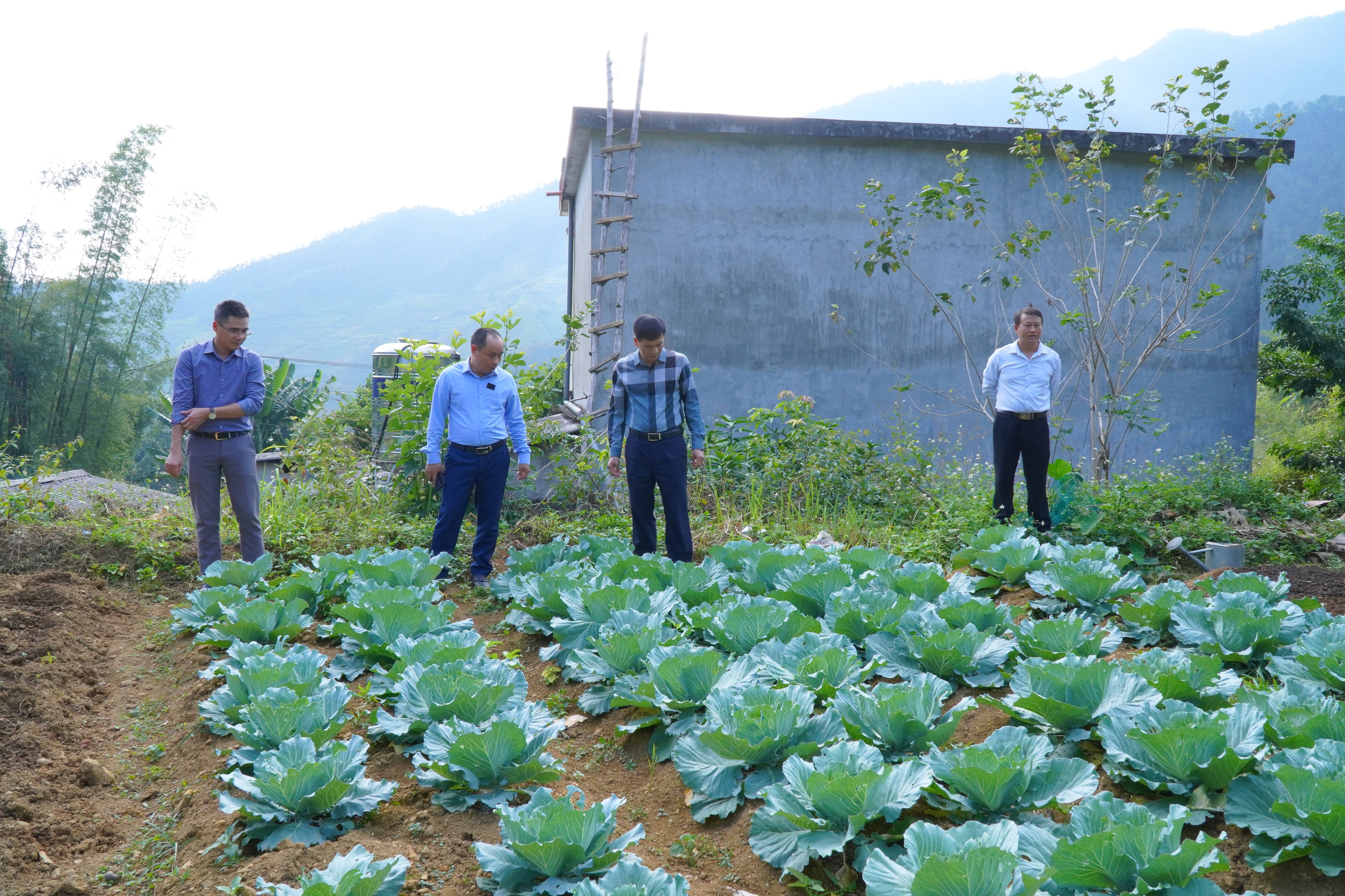 Bí thư Huyện ủy Phạm Văn Tú kiểm tra công tác sản xuất vụ Đông và thực hiện cải tạo vườn tạp