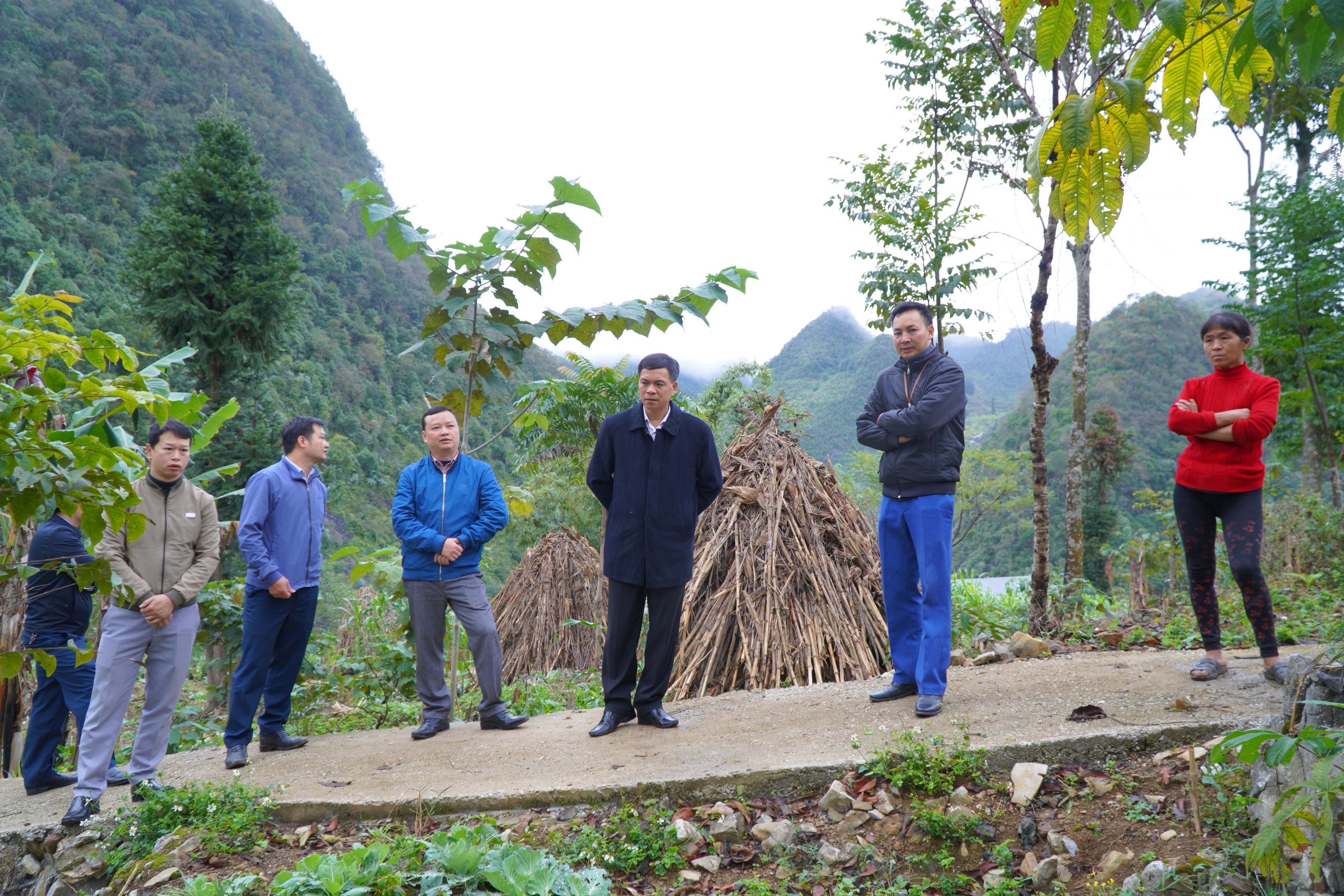 Bí thư Huyện ủy kiểm tra cải tạo vườn tạp tại xã Sủng Trà