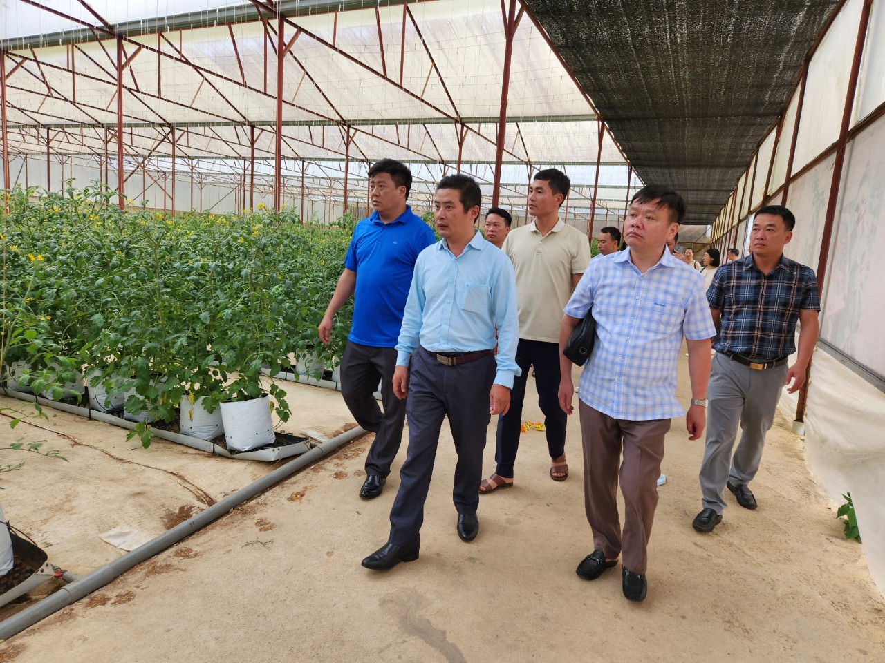 Đoàn công tác huyện Mèo Vạc trao đổi, học tập kinh nghiệm tại tỉnh Lâm Đồng